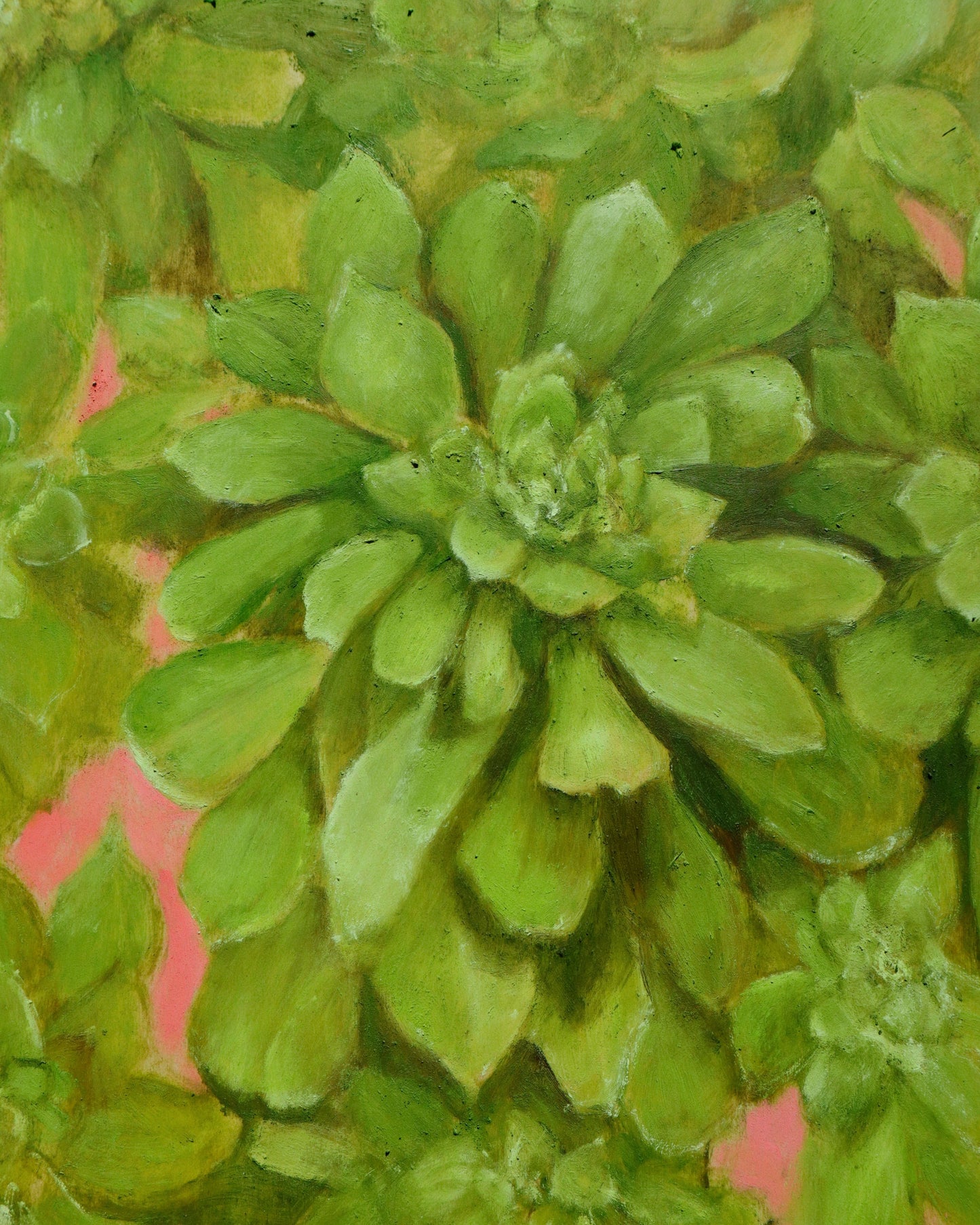 Green Succulent