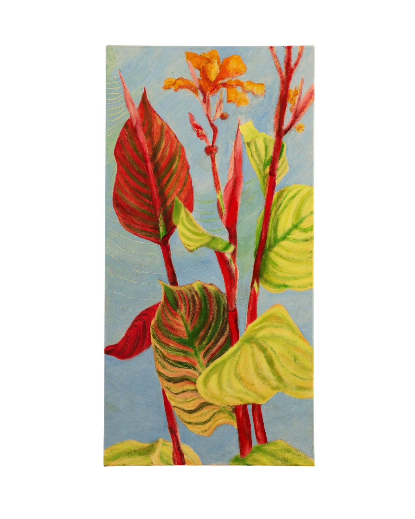 Tropicana Calla Lilly