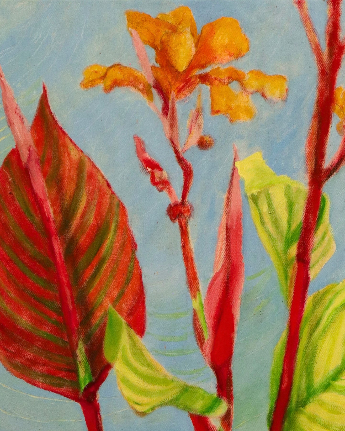Tropicana Calla Lilly