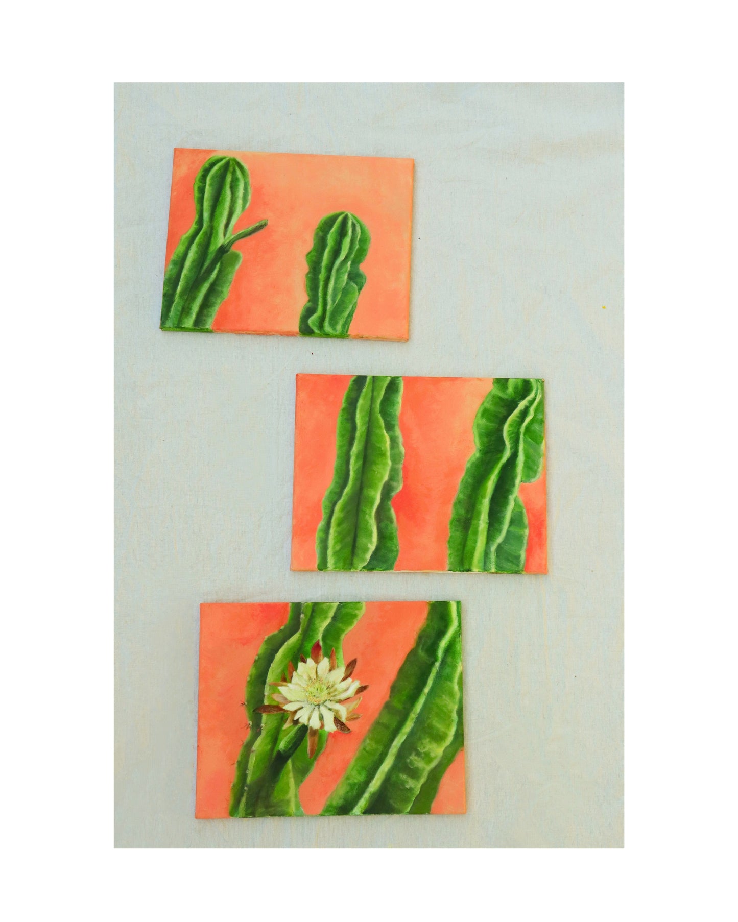 Night Blooming Cactus - 3 panel