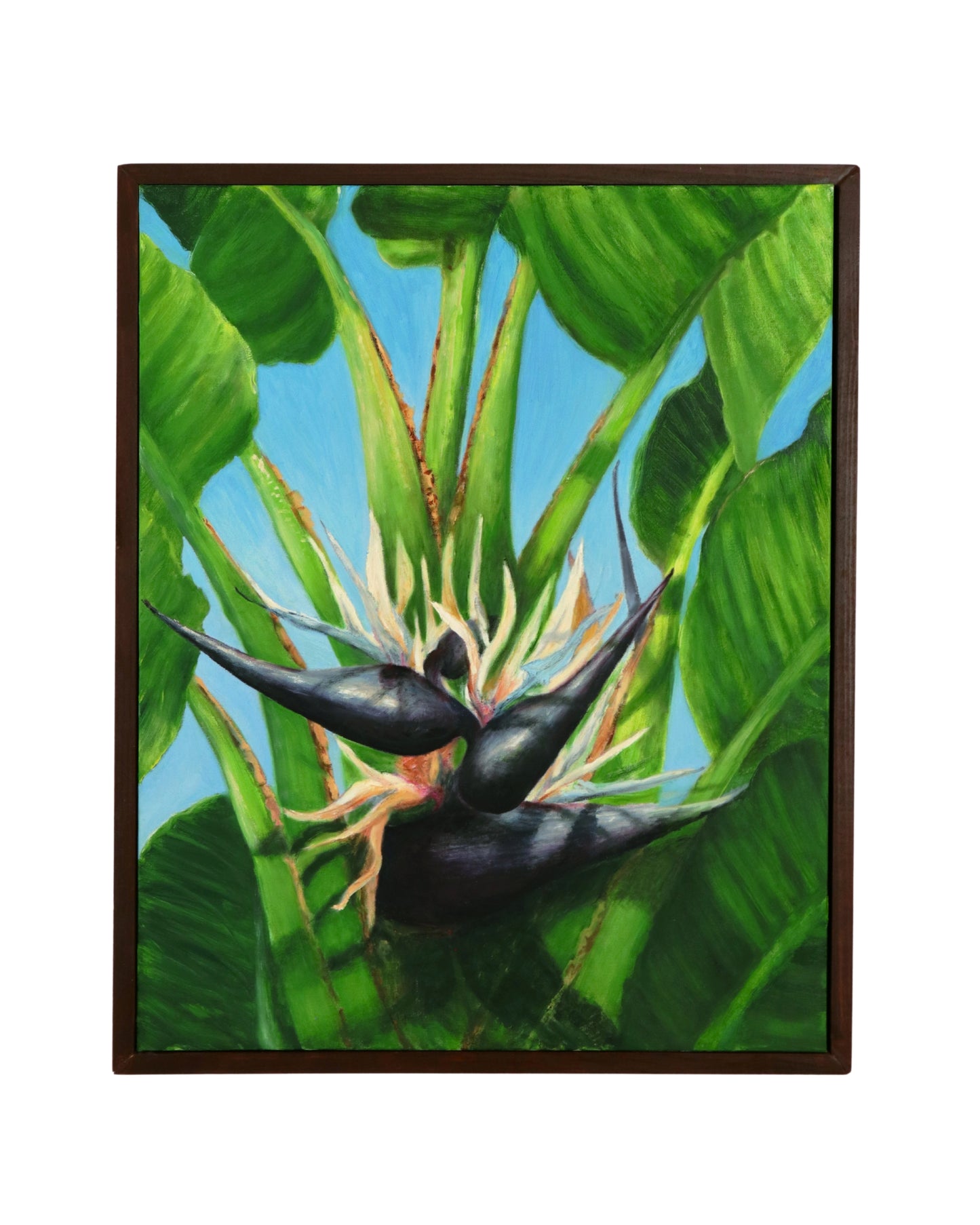 A Giant Bird of Paradise