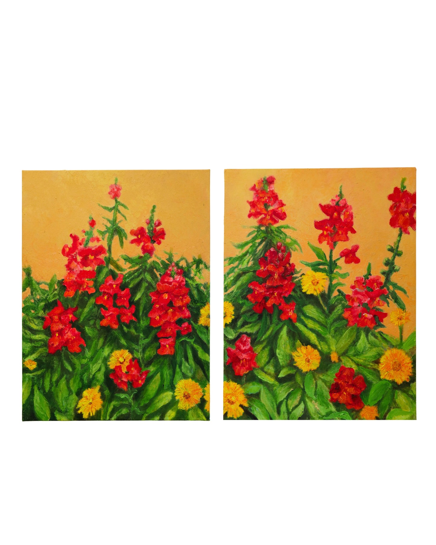 Snapdragons