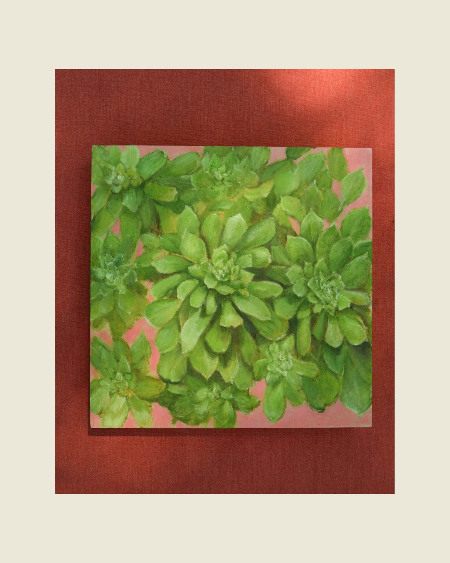 Green Succulent