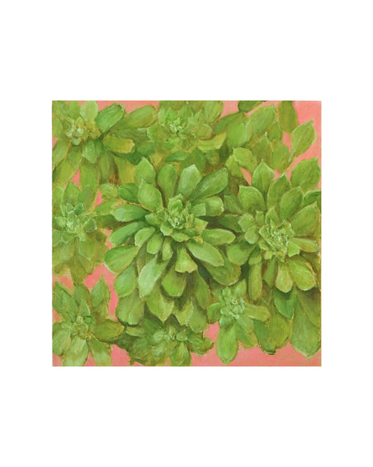 Green Succulent