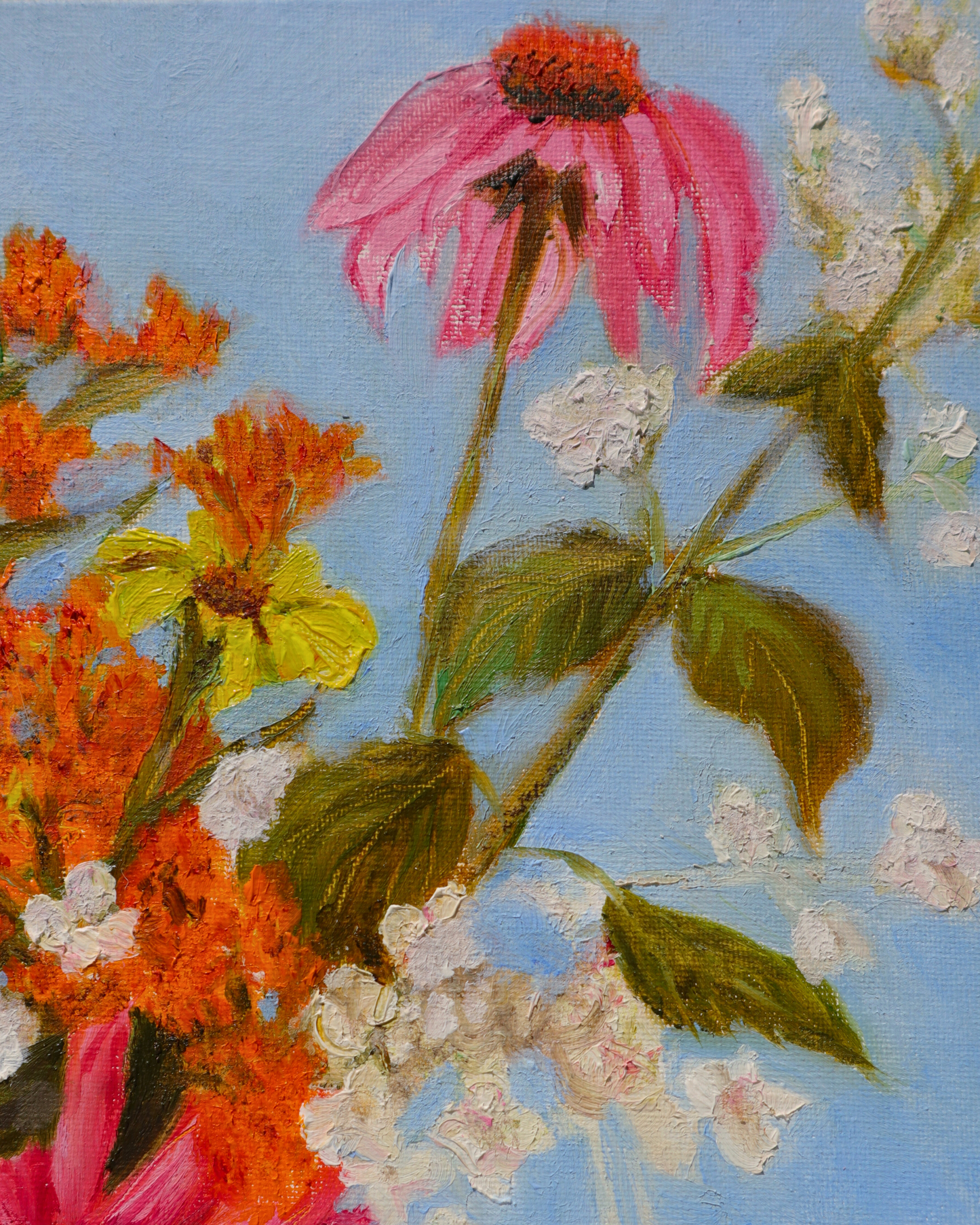 Flowers - Wild