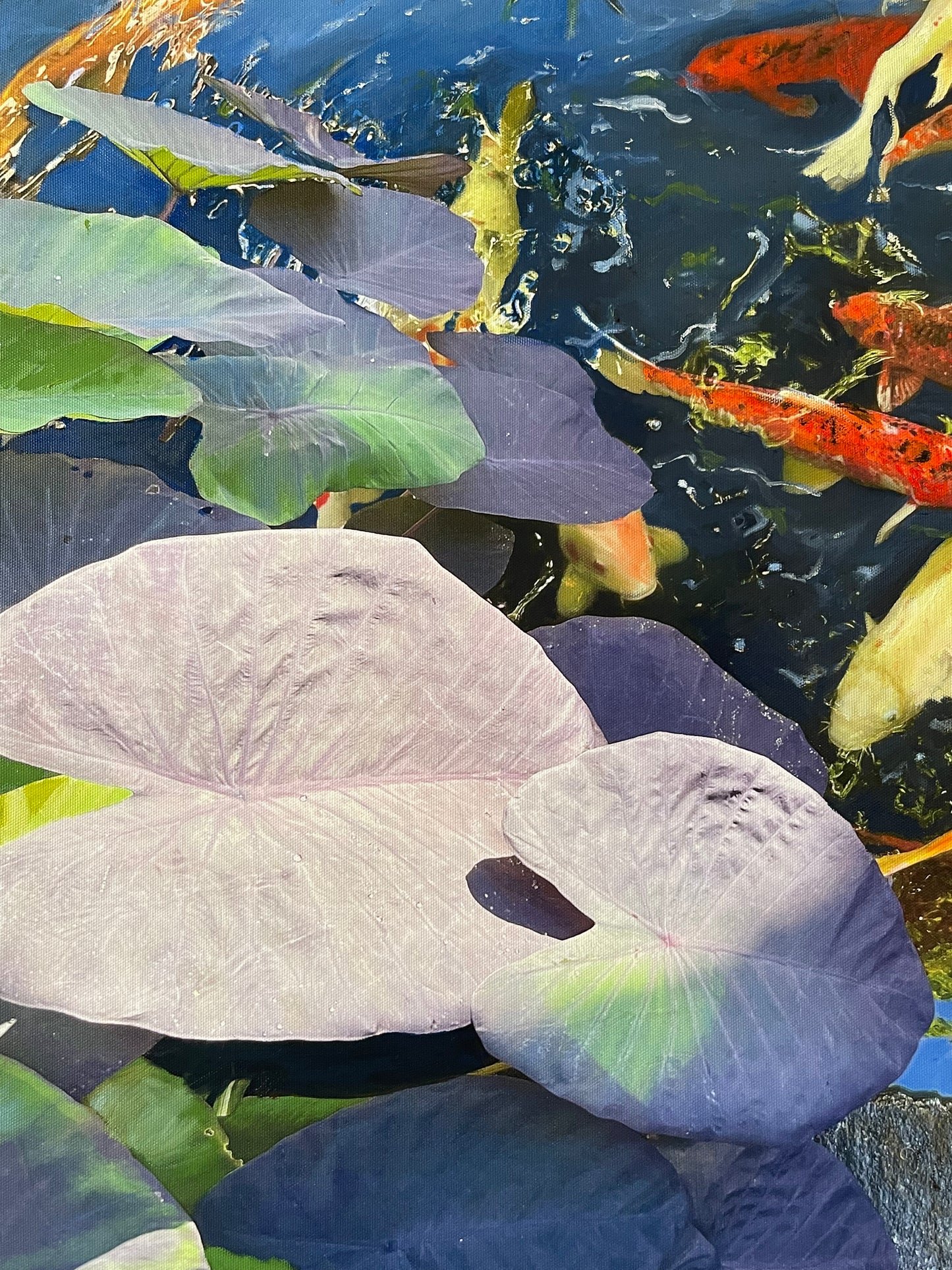 Koi Pond