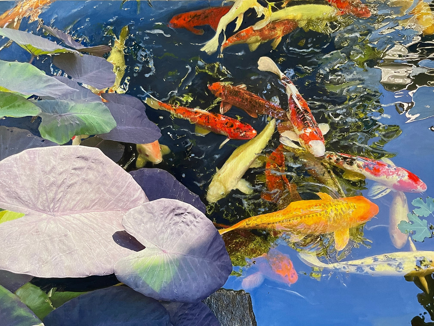 Koi Pond