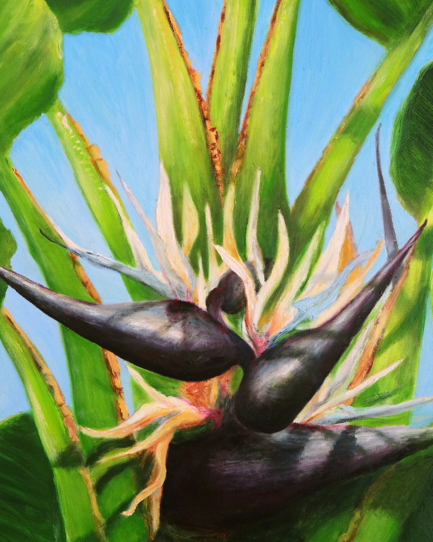 A Giant Bird of Paradise