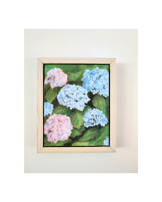Hydrangeas