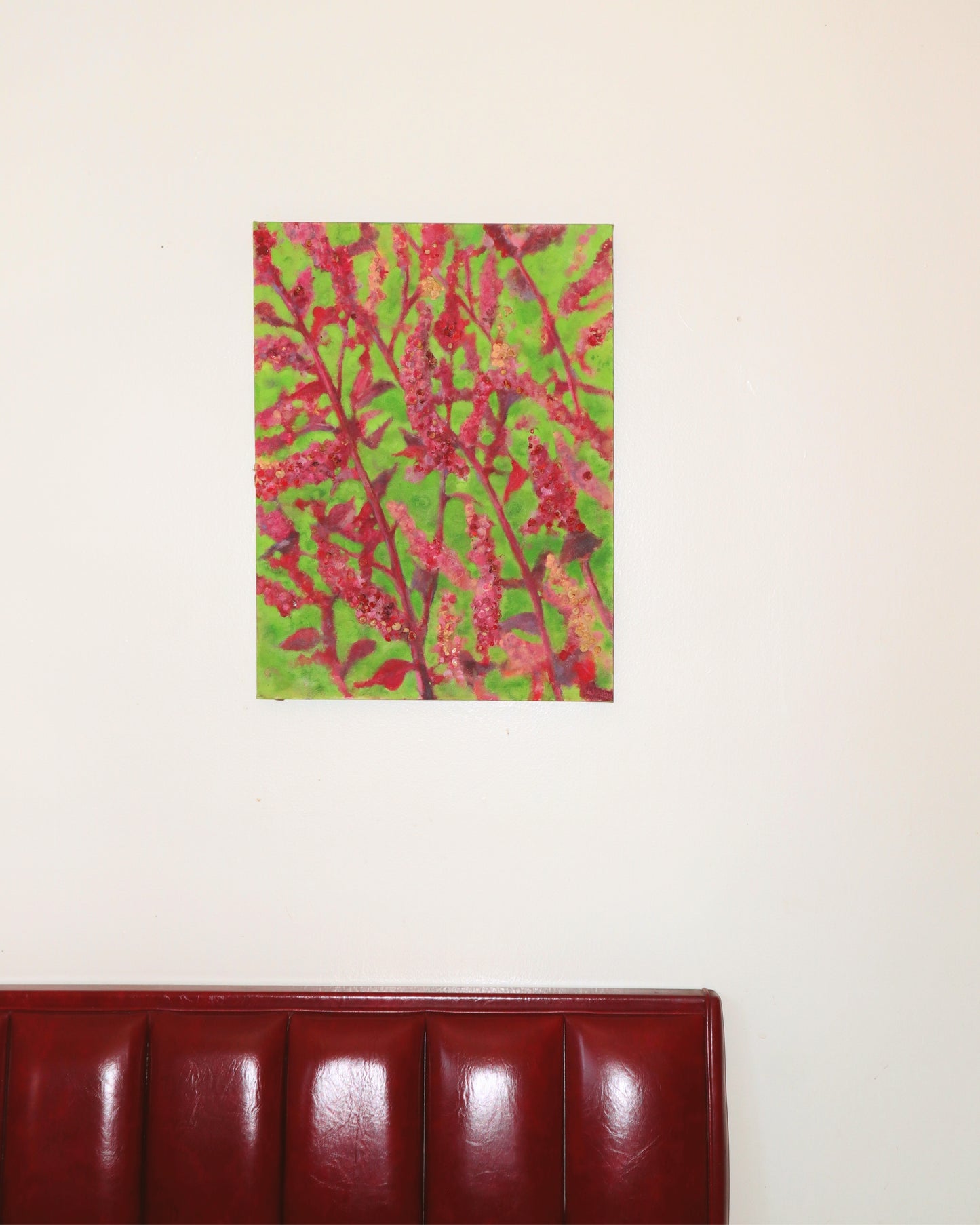Red Orach (Amaranth)
